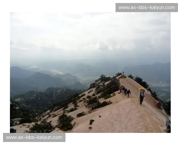 高山之巅的博弈与威尔士龙的咆哮：瓦杜兹vs巴拉，一场关于梦想与尊严的欧战史诗